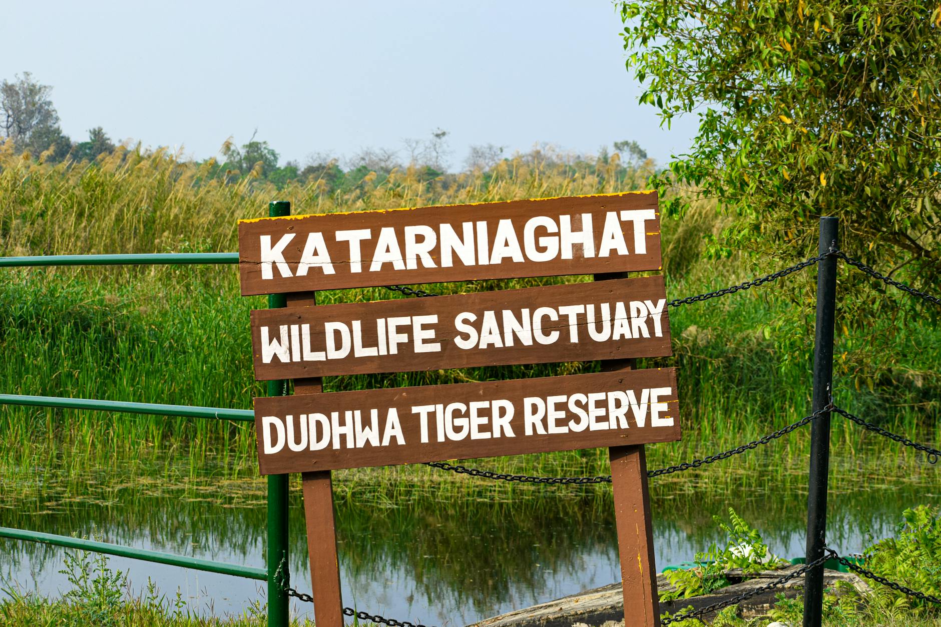 Adityanath Champions Environmental Conservation as Sanatan Duty