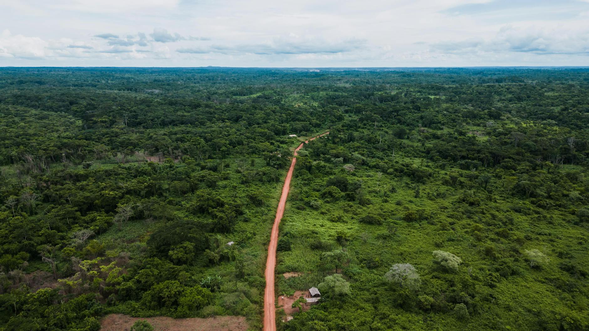 Lee White's Call for Urgent Action on Africa's Conservation Crisis
