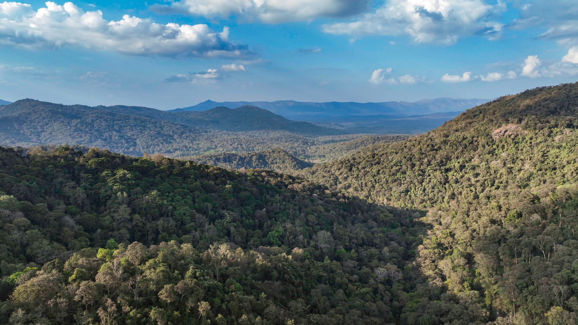 Karnataka's Hosahalli Betta Closure: A Move to Protect Nature