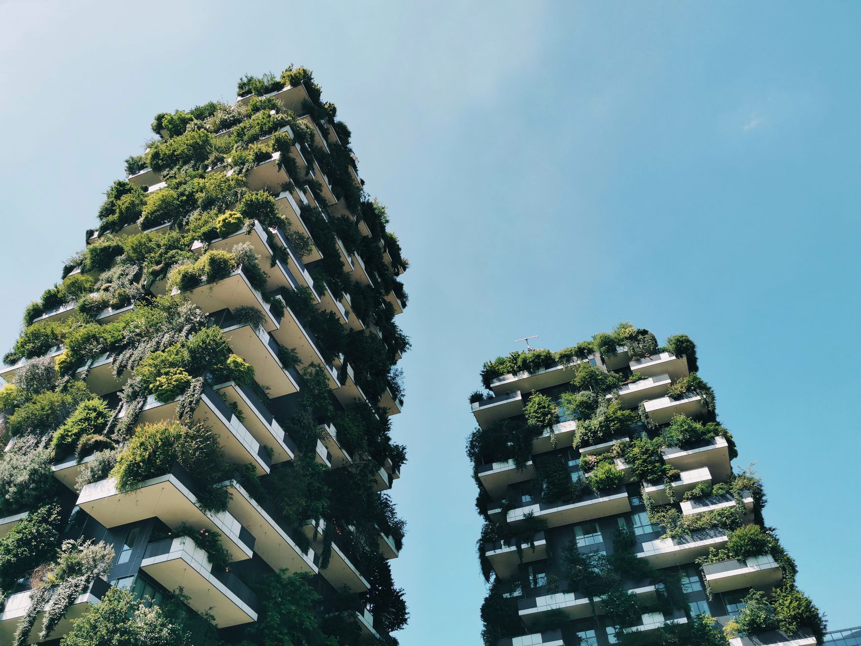 Building a Resilient Future: Architecture's Role in Mental Health