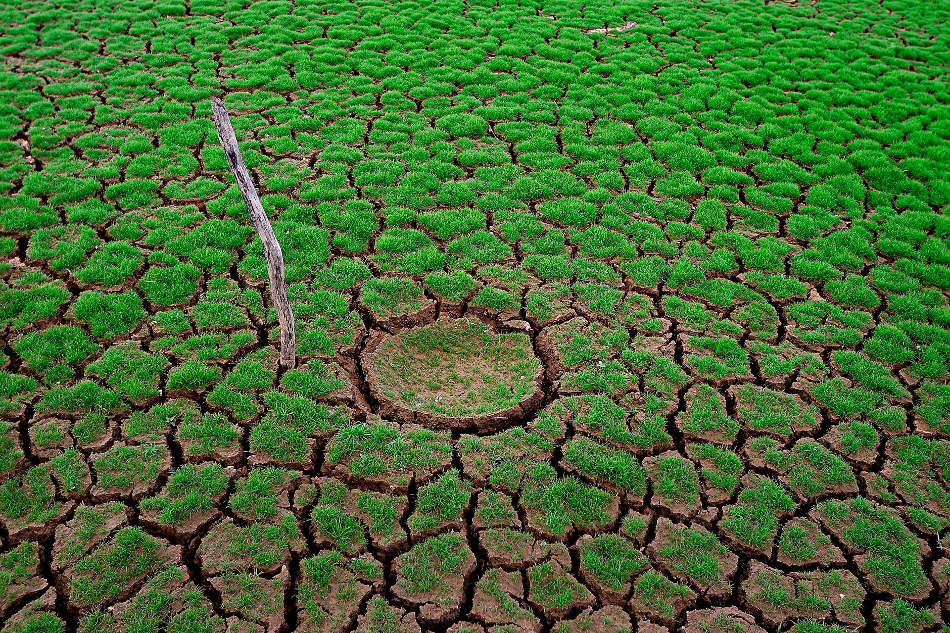 Iran's Ecological Crisis: A Deepening Economic Blow