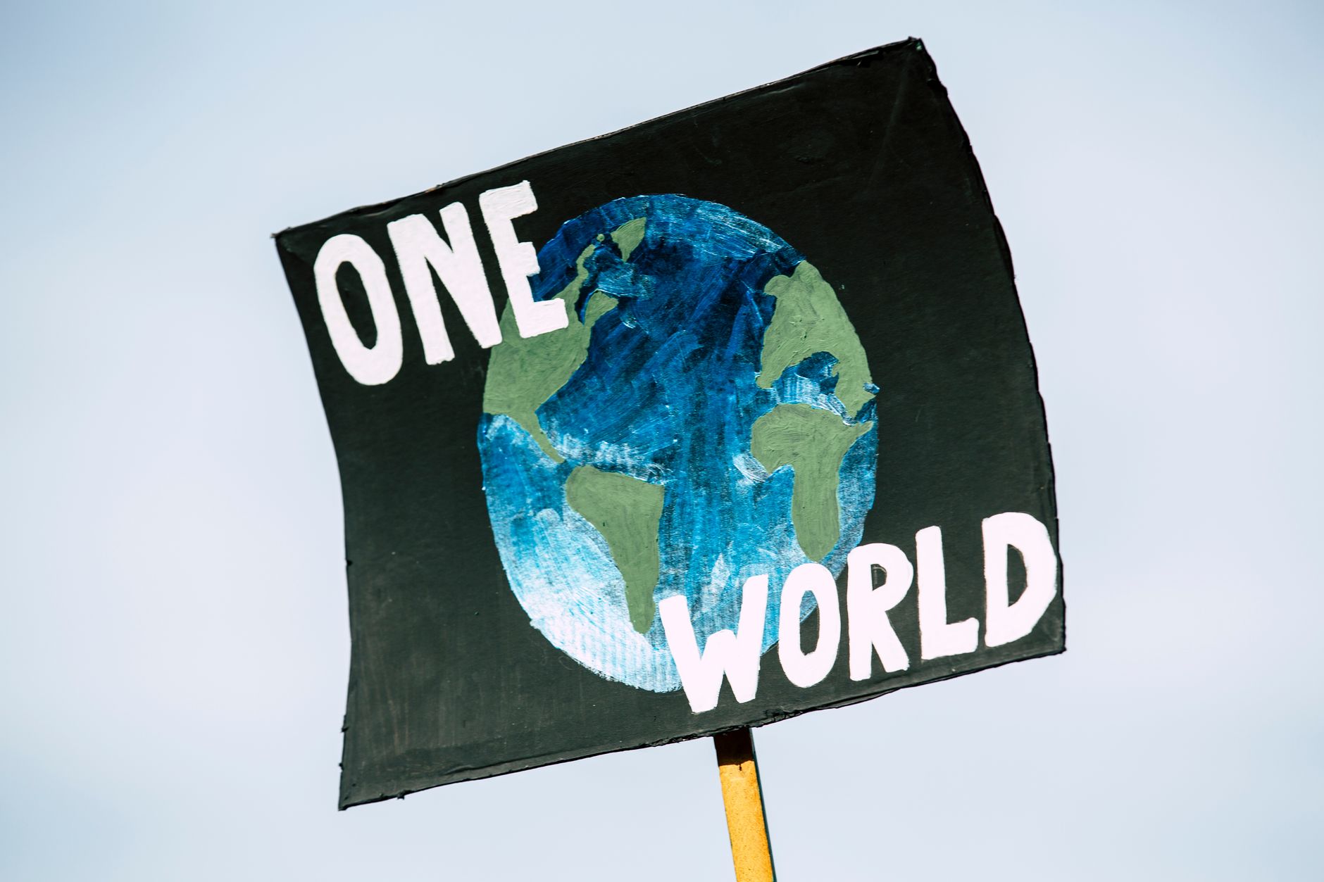 Mysuru's 'Parisara Habba' Unites Citizens on World Environment Day