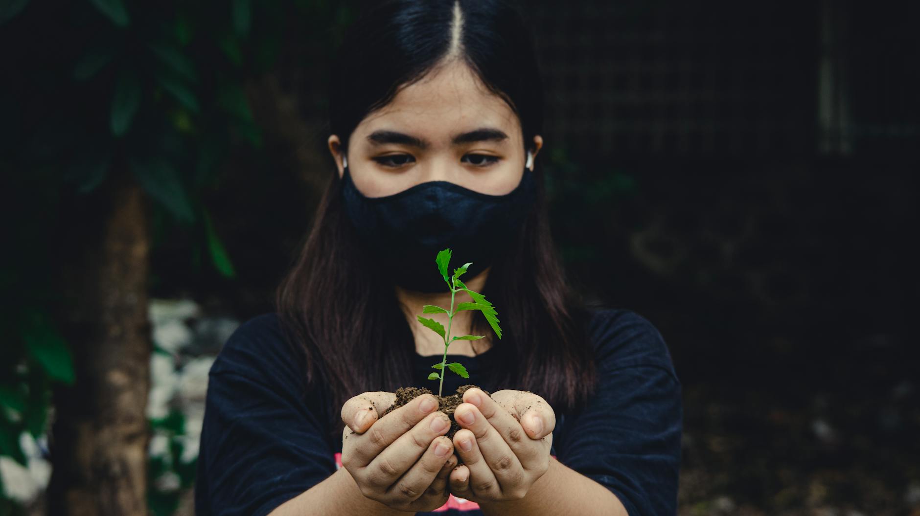 Five Books Offering Hope and Insight on World Environment Day