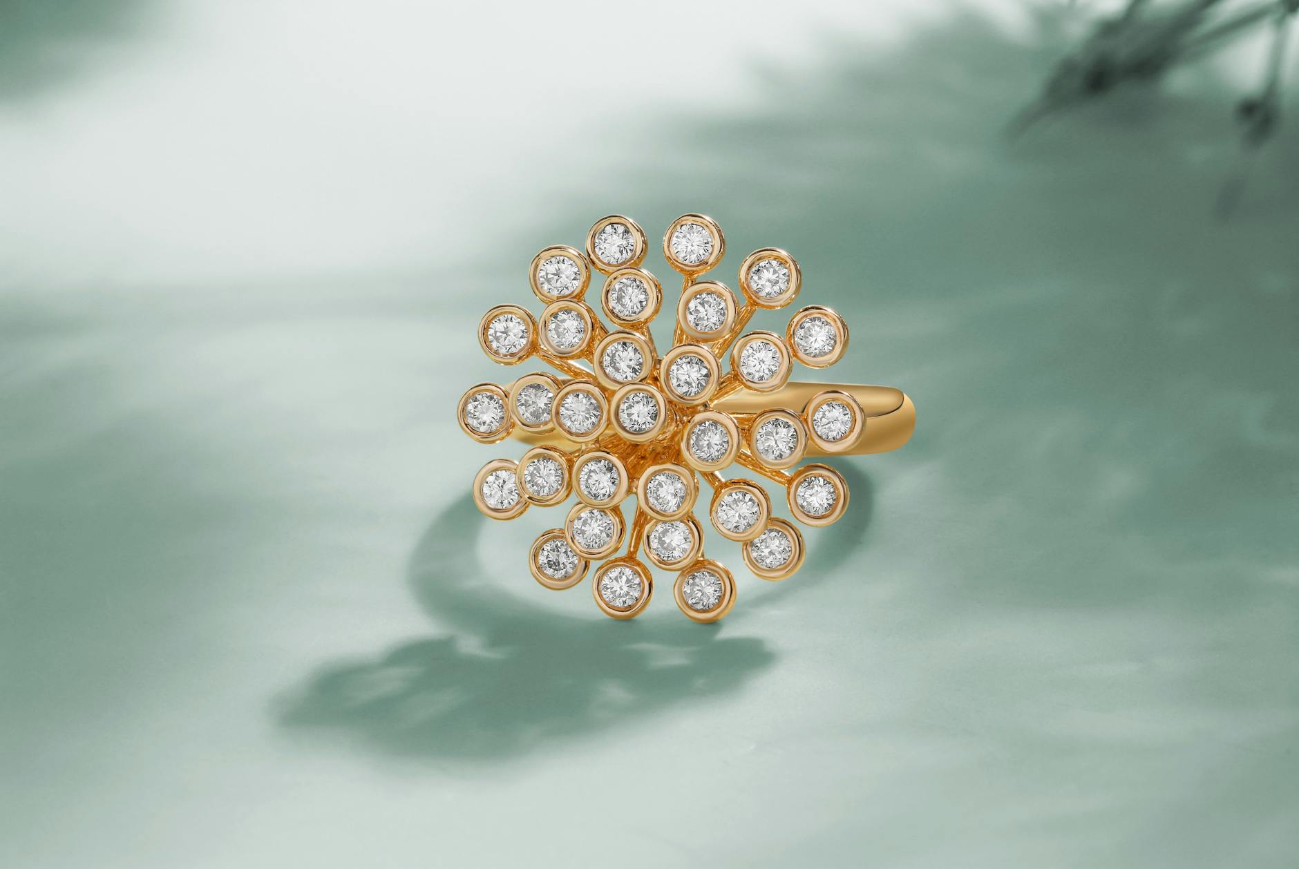 Union Health Secretary Celebrates HLL Lifecare's 60 Years of Service