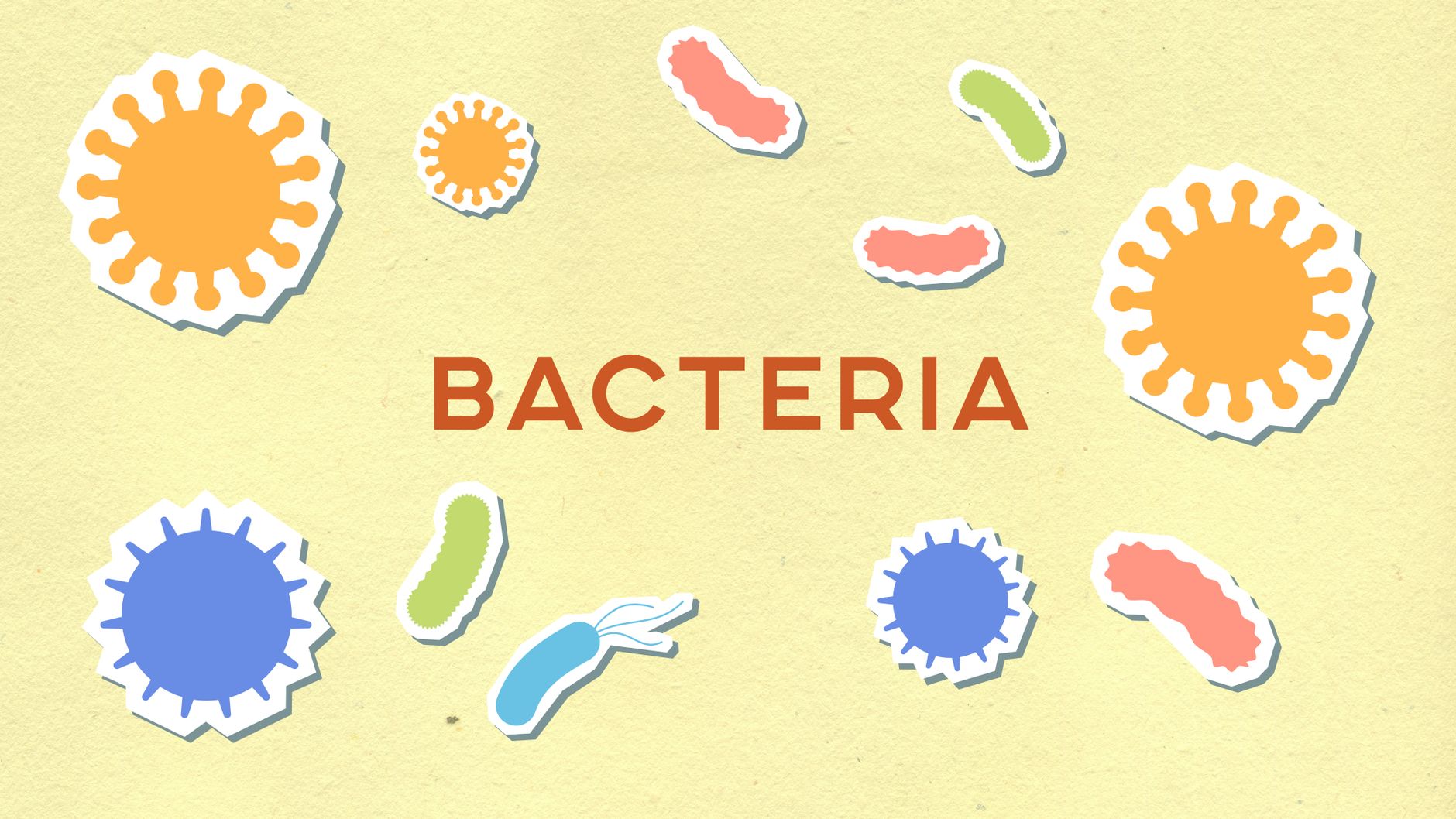 Why a Humble Sink Microbe Could Help Us Understand Climate