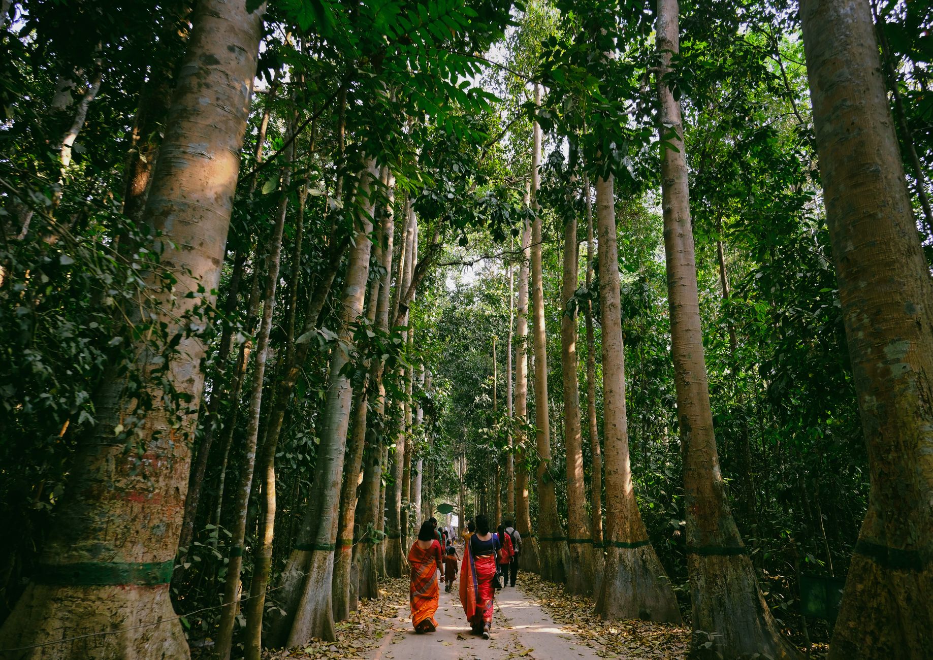 Bengal's Green Tourism Vision: A Harmonious Path Forward