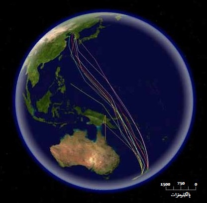 Migratory Birds Face Decline Amid Global Challenges