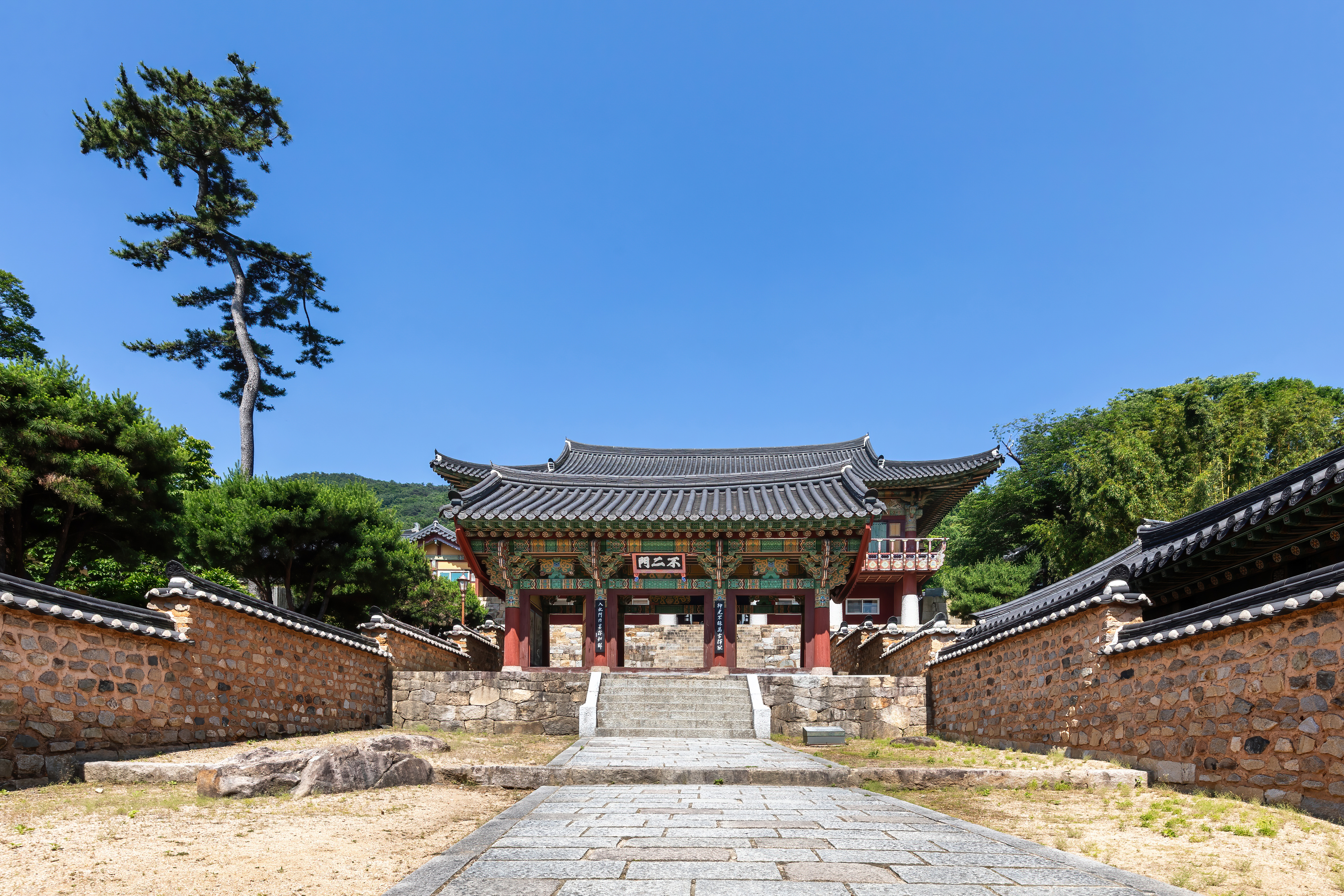 South Korea's World Cup 2026 Hopes: A Mixed Bag