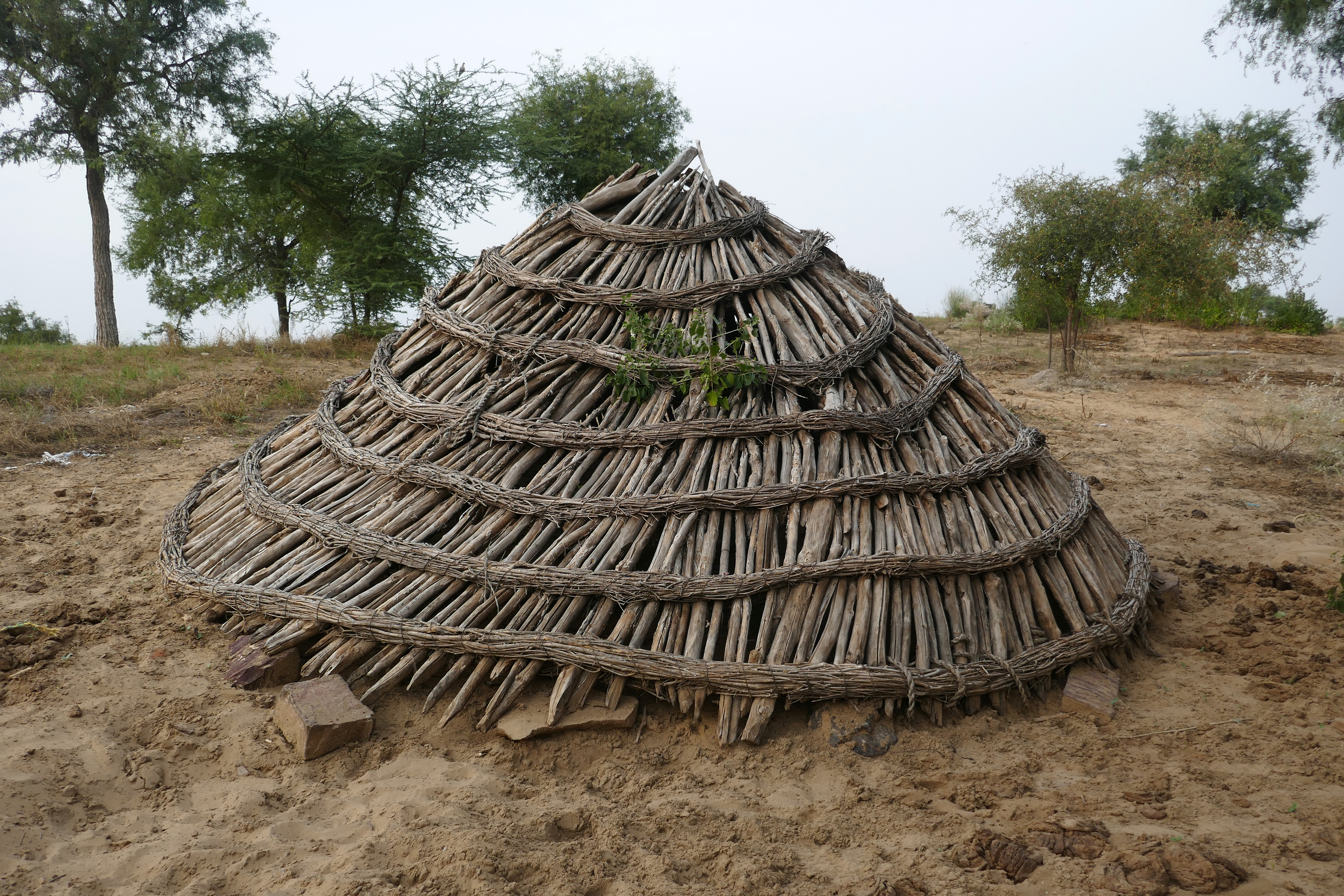 Water Woes in Rajasthan: A Political Conundrum