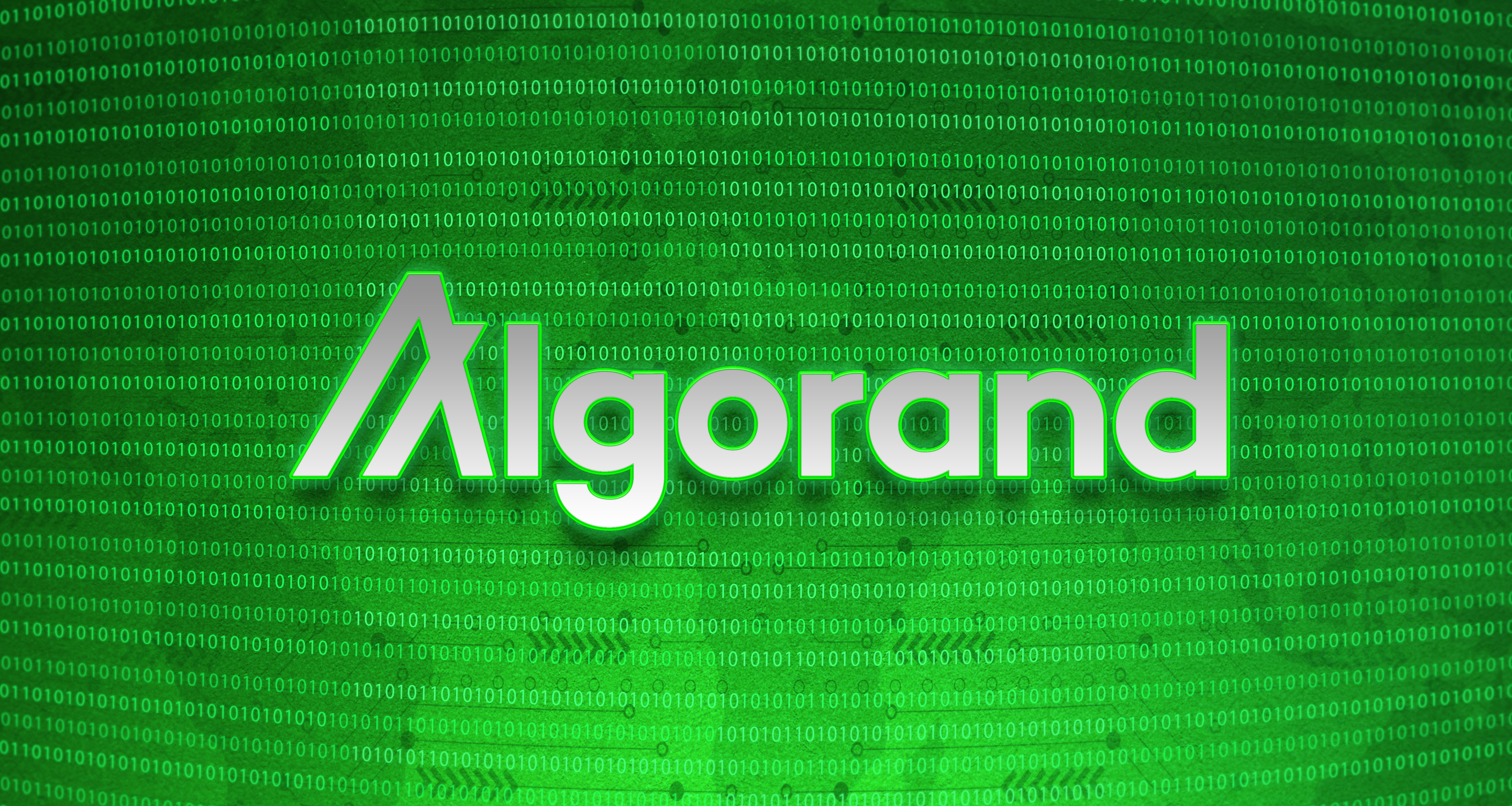 Crypto Oligarchs and the Micronation Where Money Dictates Power